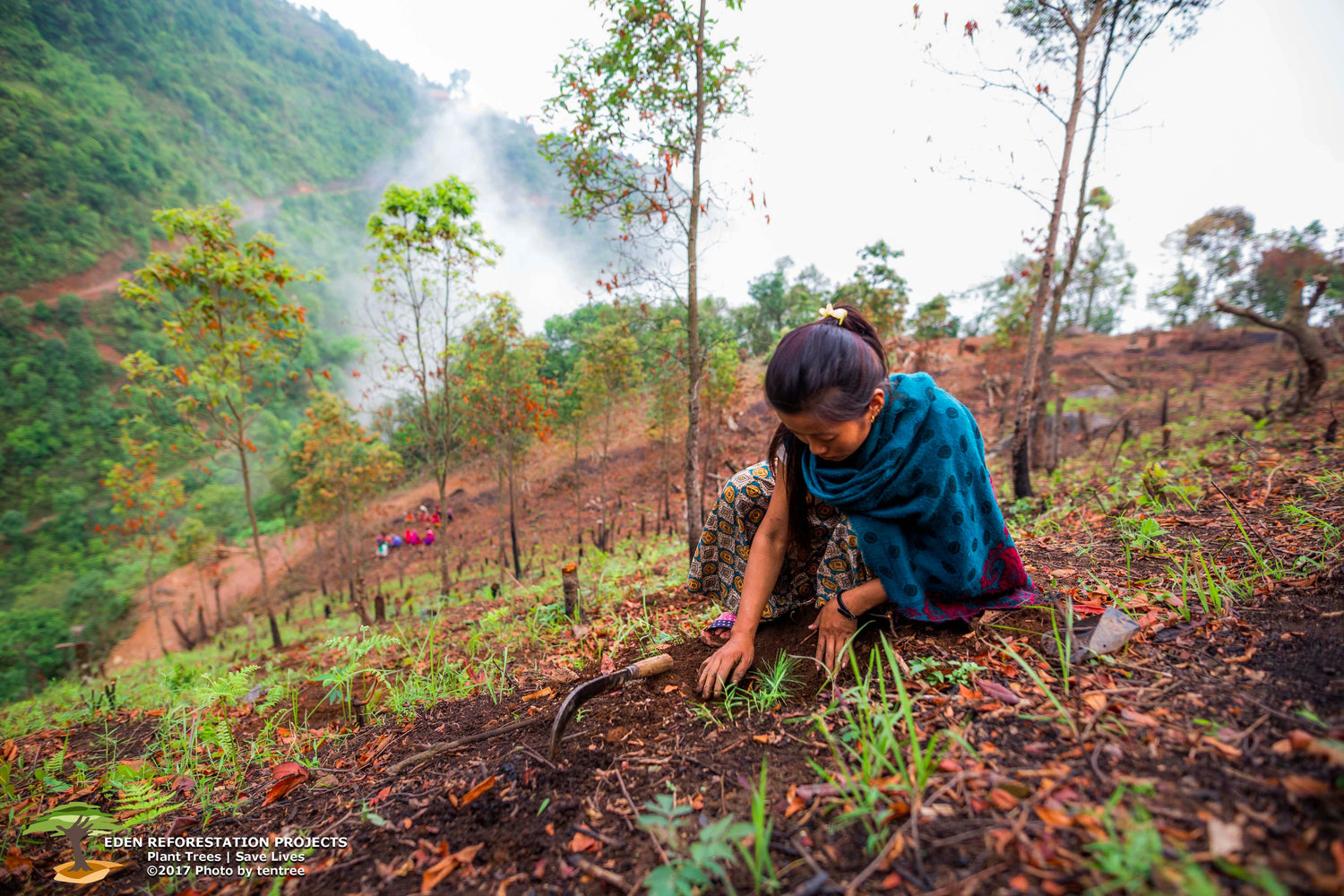 The Power of Sustainable Tree Planting in the Fight Against Climate Change